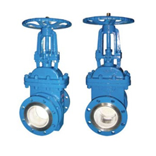 �մ������y