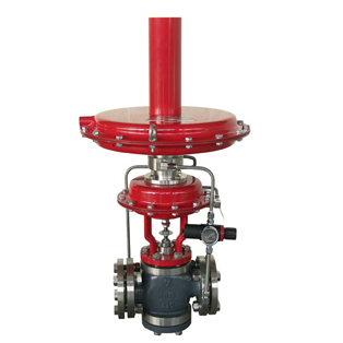 ��ָ�]���{���y